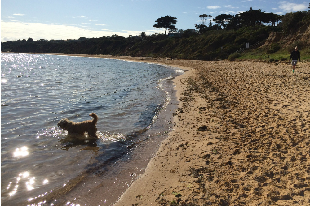 Day-in-a-life-Macpherson-Kelley-Jereome-Keating-beside-the-beach
