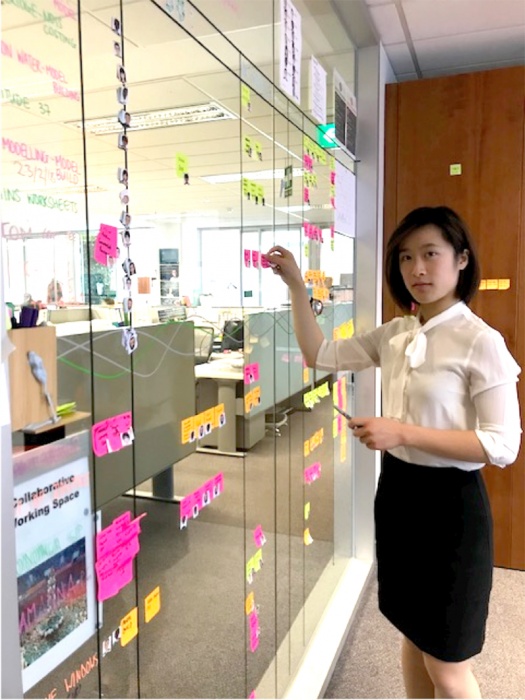 Pitcher Partners Lingyun Li stand up meeting